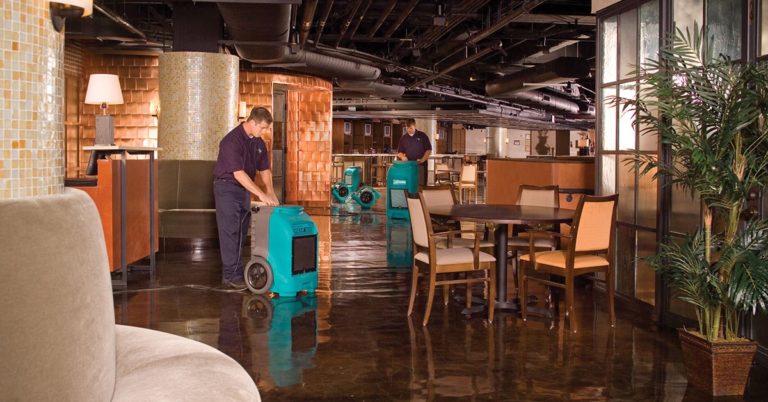 local water damage company Miami, FL